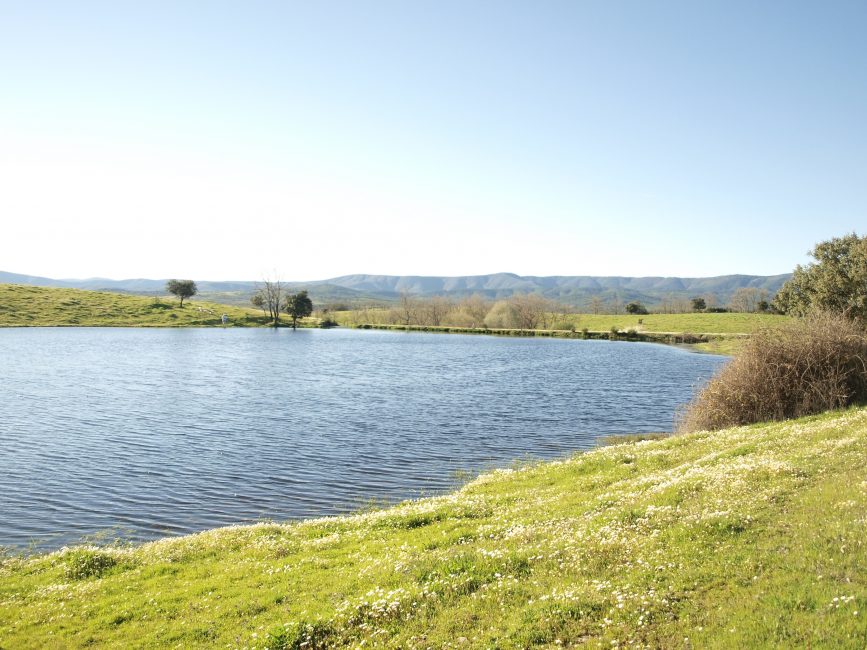 agua finca el cabezo