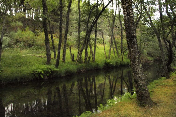 río de villasbuenas de gata