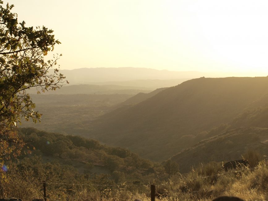 otoño en la sierra de gata