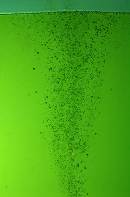 aceite de oliva virgen extra ecológico verde intenso